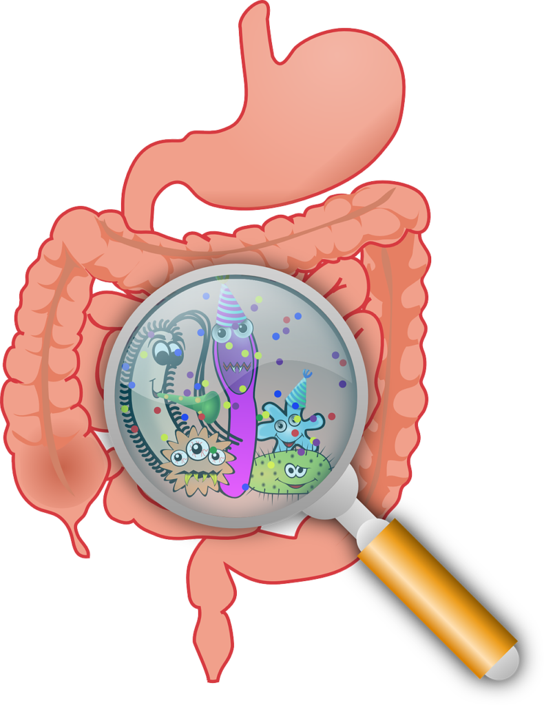 bacteria colon 790x1024 - Antibiotics After Wisdom Teeth Removal Can Lead to Life Threatening Infection