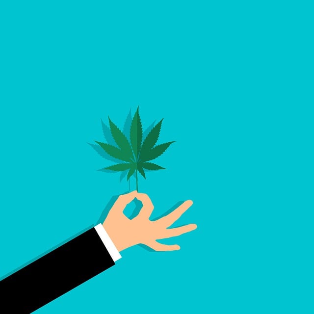 Marijuana derivative might be an alternative for opioids for dental pain cannabis cbd - Marijuana derivative might be an alternative for opioids for dental pain